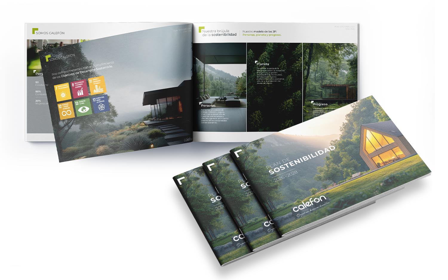 Plan de Sostenibilidad