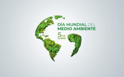 Día Mundial del Medio Ambiente: pequeñas acciones, grandes resultados