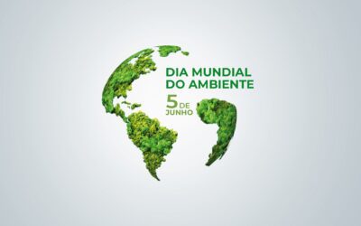 Dia Mundial do Ambiente: pequenas ações, grandes resultados